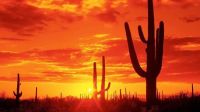 Arde el planeta: México llegó a una infernal temperatura de 80 grados, en el norte del país