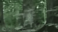 Aseguran haber grabado el fantasma de una niña que se ahogó hace 200 años