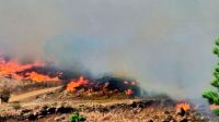Están contenidos los incendios forestales en Córdoba, pero la situación aún es inestable