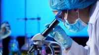 En 8 años, creció un 75% la cantidad de drogas en investigación contra el cáncer