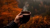 Las propiedades y beneficios que tiene el té verde