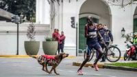 Atleta keniata iba a ganar la maratón de Buenos Aires, pero un perro lo atacó y lo dejó tercero