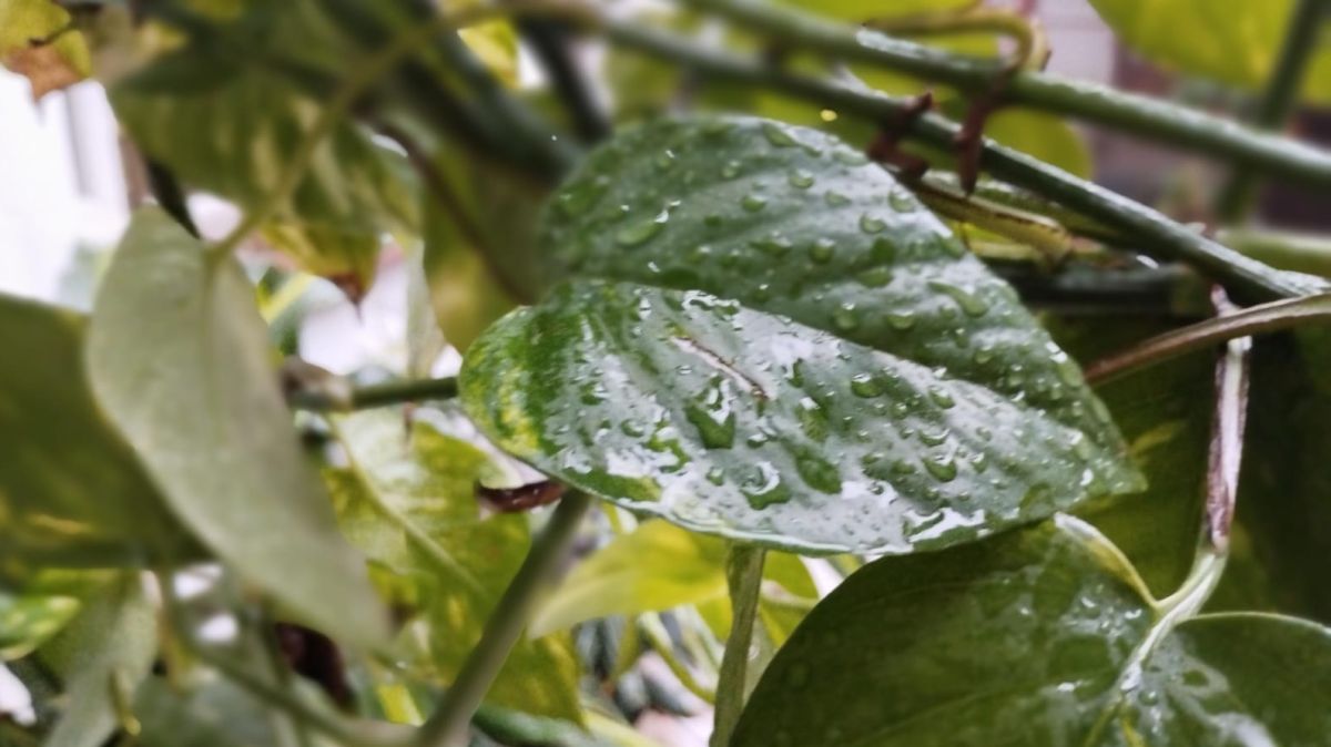 Amaneció con intensa lluvia, baja la temperatura y hay "doble" alerta en la provincia