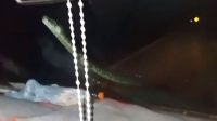 Una lampalagua se subió al parabrisas de una combi: la reacción de los pasajeros [VIDEO]
