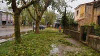 Destrozos por el temporal en el norte de San Luis